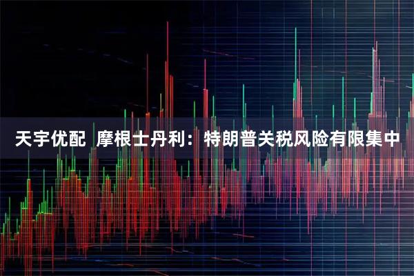 天宇优配  摩根士丹利：特朗普关税风险有限集中